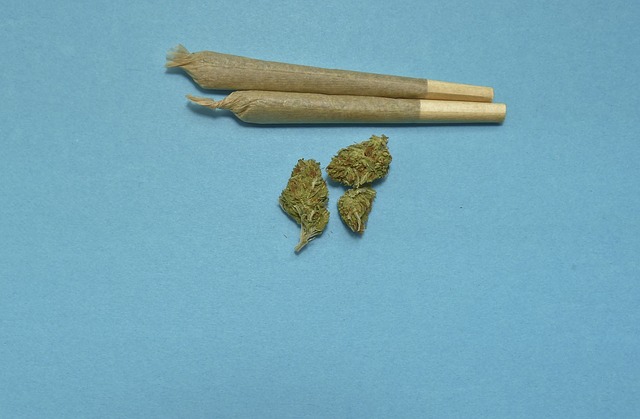 joint cannabis blowen

