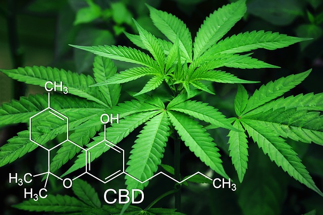 medicinale cannabis 